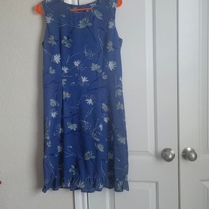 Soft Blue Rayon dress.